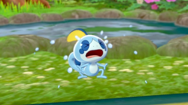 Reakcja graczy na Dexit daleka była od entuzjazmu. - Recenzje Pokemon Sword i Pokemon Shield. Afera o Dexit nie wygasa - wiadomość - 2019-11-13