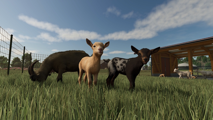 Źródło: Giants Software. - Polski gracz Farming Sumulator 25 żądał 500 złotych za jedną mapę. Kilka dni później twórcy wprowadzają surowy zakaz - wiadomość - 2026-08-24