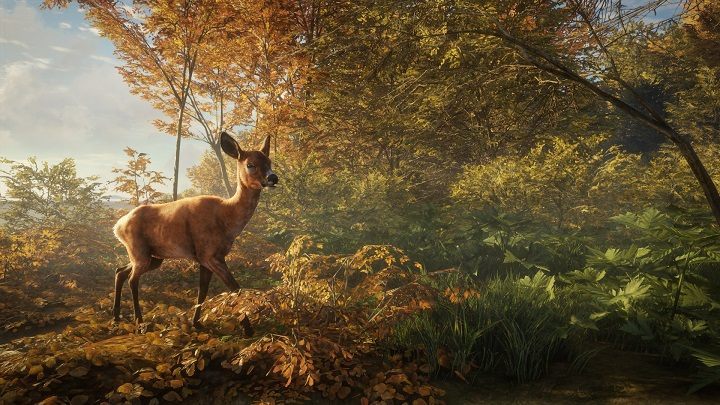 theHunter: Call of the Wild ma zachwycać oprawą graficzną. - Zapowiedziano theHunter: Call of the Wild - kontynuację sieciowego symulatora polowania - wiadomość - 2016-11-28