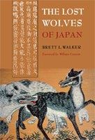 Czerwony Kapturek jako łowczyni demonów, czyli American McGee zapowiada Akaneiro - ilustracja #3