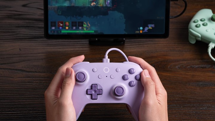 Źródło: 8Bitdo