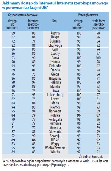 Raport GUS - Jak Polacy korzystają z internetu? - ilustracja #2