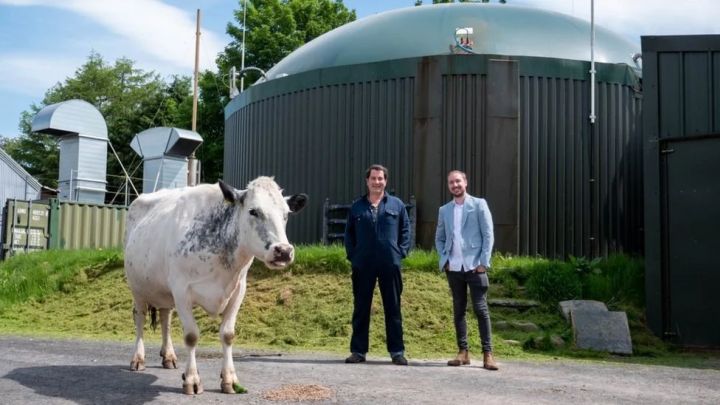 Pomysłowy rolnik zasila koparkę Ethereum energią z krowich odchodów - ilustracja #1