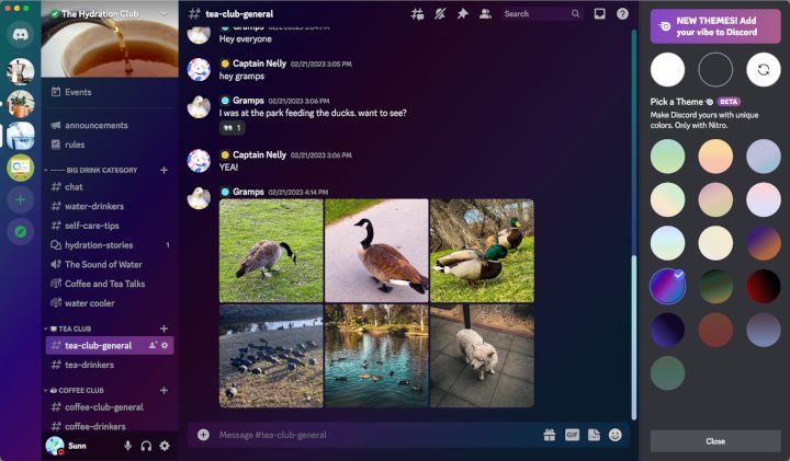 Discord Nitro otrzymał wyczekiwaną funkcję - ilustracja #2