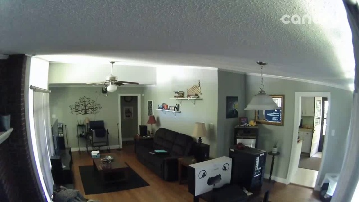 Technik przez lata podglądał kobiety przez kamery domowe - ilustracja #1