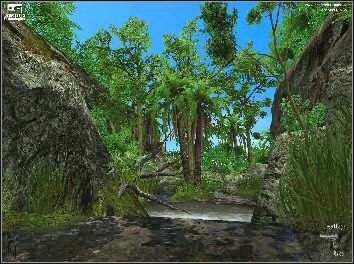 El Matador w Sieci - ilustracja #4