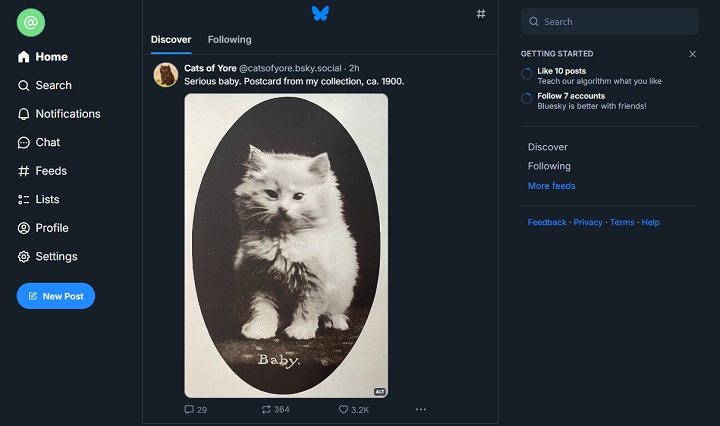 Bluesky. Źródło: własne. - Bluesky - co to jest i czy warto? Opinie użytkowników - wiadomość - 2024-11-19