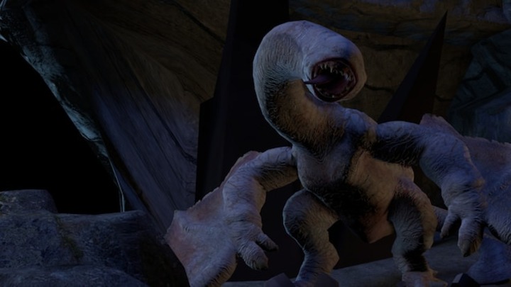 Źródło: Capcom - Gry weszły z butami do świata zwierząt. Nowo odkryty pająk dostał nazwę po znienawidzonym potworze z Monster Hunter - wiadomość - 2024-07-03