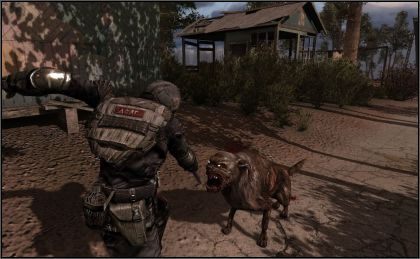 Listopad miesiącem premiery S.T.A.L.K.E.R: Call of Pripyat - ilustracja #2