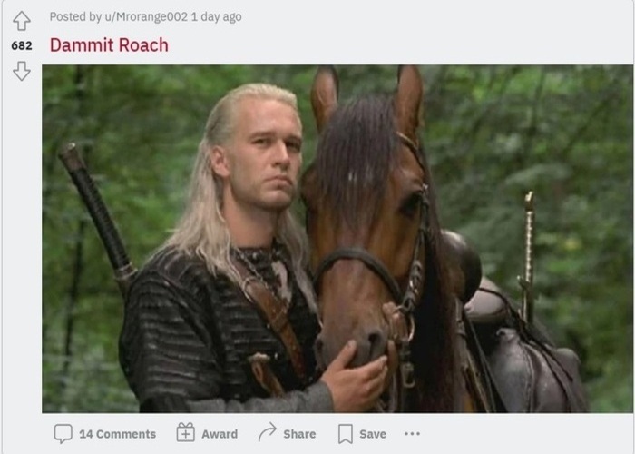 Wiedźmin Sapkowskiego i serial z Żebrowskim narzędziem protestu społeczności Reddita - ilustracja #1