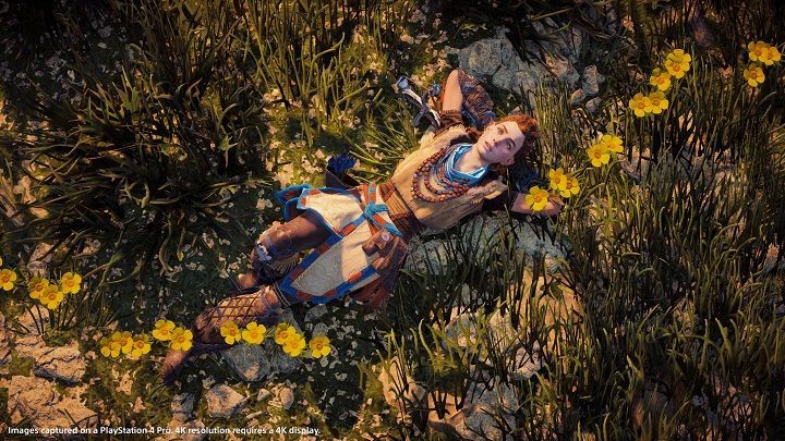 Horizon Zero Dawn – w przyszłym tygodniu Aloy zacznie częściej brać udział w sesjach fotograficznych. - Horizon Zero Dawn za kilka dni doczeka się aktualizacji trybu fotograficznego - wiadomość - 2017-05-04