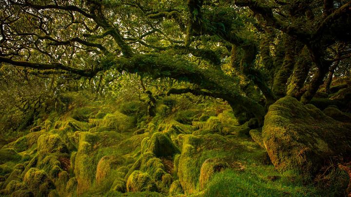 Naprawiamy Pierścienie Władzy. 7 rzeczy, które mogłyby uratować ten serial - ilustracja #5