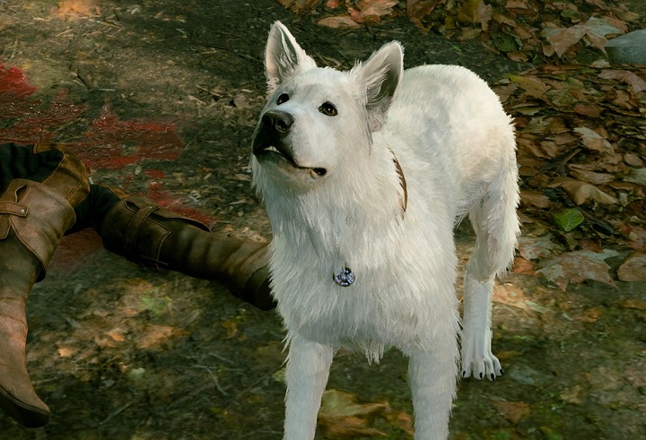 Fan Baldurs Gate 3 odkrył najsmutniejsze dialogi w grze, których prawdopodobnie nigdy nie usłyszycie - ilustracja #1