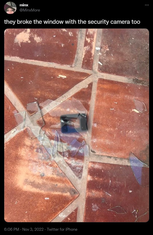 Przerażające odkrycie streamerki; od dawna żyła w zagrożeniu - ilustracja #2