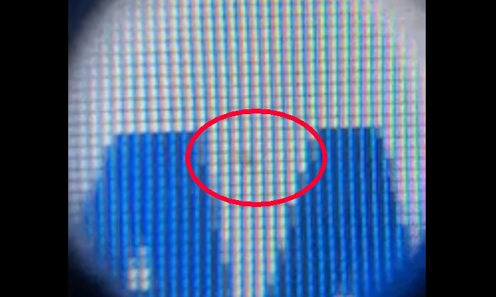 Na szczęście martwy piksel okazał się żywym owadem. Teraz wystarczy go poprosić, aby sobie poszedł. | Źródło: FroggyNight, Reddit - Gracz w swoim Game Boyu znalazł „martwy” piksel, który nagle ożył. Wyjaśnienie jest nieoczekiwane - wiadomość - 2024-07-05