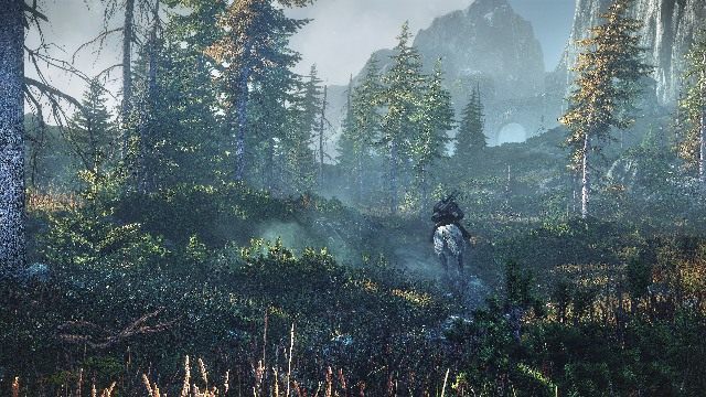 Strukturze świata w Wiedźminie 3 będzie bliżej do serii Gothic niż The Elder Scrolls - ilustracja #2