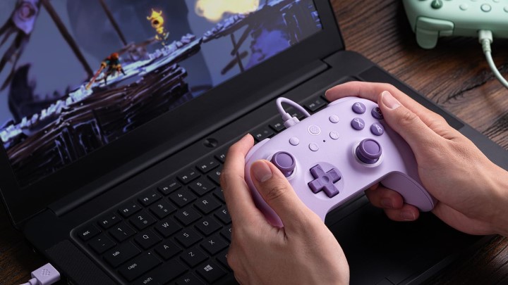 Źródło: 8BitDo