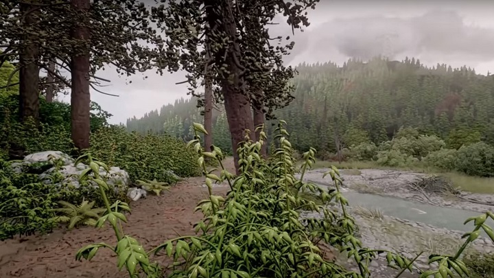 Fotorealistyczny las pokazuje pełną moc PS4 - ilustracja #1