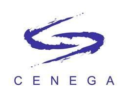 Rekrutacja w Cenega Poland - ilustracja #1