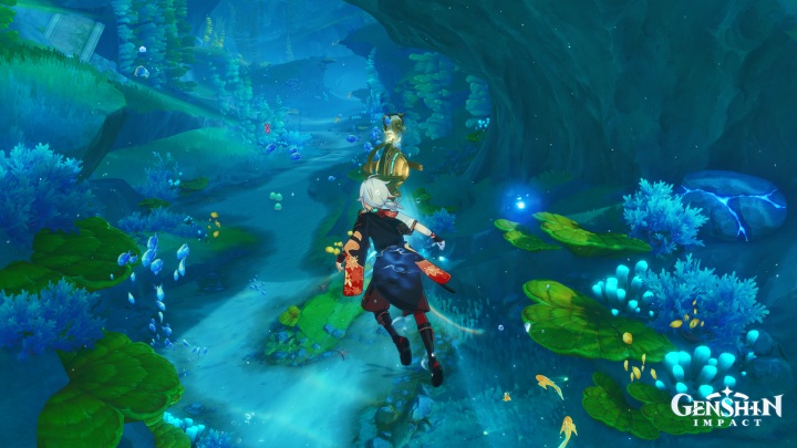 Źródło: Genshin Impact