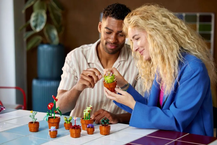 Źródło: LEGO; materiały promocyjne - Małe roślinki od LEGO to przepiękny zestaw klocków dla osób, które potrafią ukatrupić każdego kwiatka - wiadomość - 2024-04-12