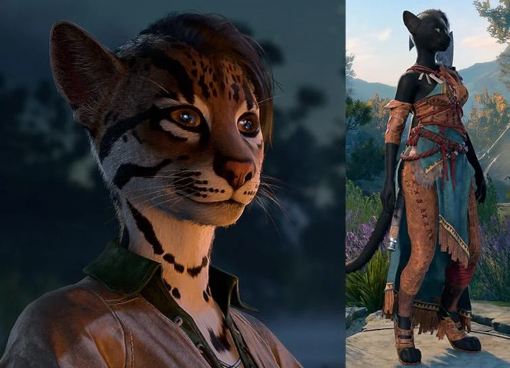 Źródło: Reddit - W Baldur's Gate 3 wkrótce zagracie jako ludzie koty dzięki modyfikacji. To kolejna rasa prosto z papierowego DnD - wiadomość - 2024-03-25