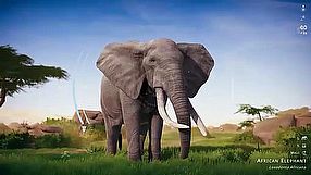 Seclusa - zwiastun #1