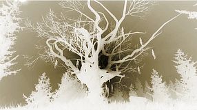 Nascence zwiastun #1