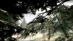 S.T.A.L.K.E.R.: Shadow of Chernobyl The Calm