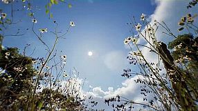 Echo of Prypiat - zwiastun #1