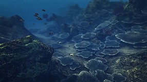 Depth Hunter trailer #1