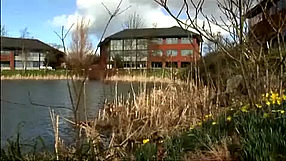 Fable II Dziennik developera - cz. 5