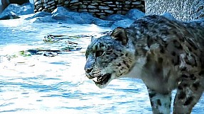 Far Cry 4 Witajcie w Kyracie #2 - centrum kraju i Himalaje (PL)