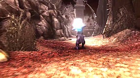 Neverwinter Wizard #2