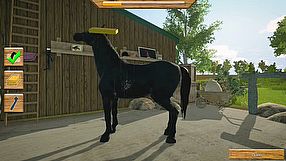 My Little Riding Champion zwiastun na premierę