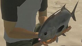 Pro Fishing Simulator zwiastun #1