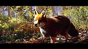 Hunting Simulator 3 - zwiastun rozgrywki
