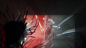 The Outlast Trials - zwiastun 5. sezonu