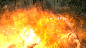 The Witcher: Enhanced Edition GC 2008