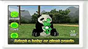 National Geographic Panda #1