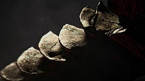 The Elder Scrolls Online trailer