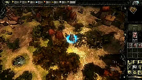 Disciples III: Renaissance #2