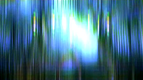 Batman: Arkham Asylum #1