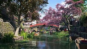 Assassin's Creed: Shadows - zwiastun z Xbox Games Showcase 2024