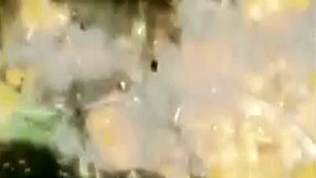 Star Trek: D.A.C. #1