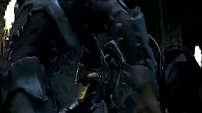 Dragon Age: Origins Wardens Calling