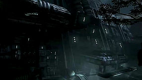 Aliens vs Predator Fabuła