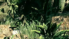 Sniper: Ghost Warrior headshoty