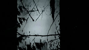 Alan Wake Bright Falls Akt.2 - wersja PL