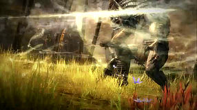 Guild Wars 2 Wojownik